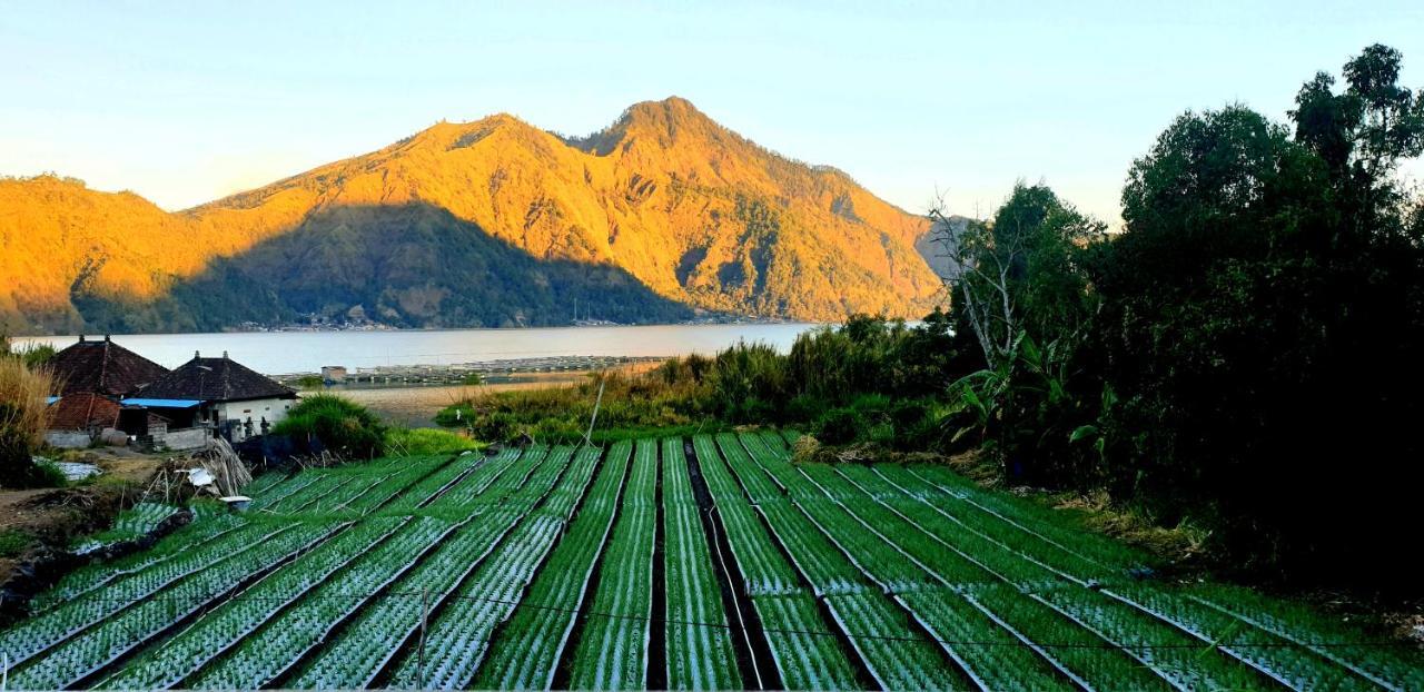 Volcano Lake View 金塔马尼 外观 照片